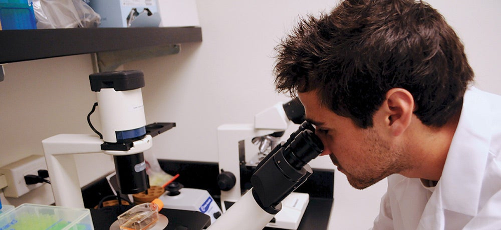 Sitting in a lab, a man looks through a microscope