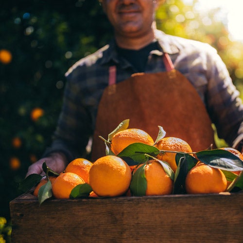 A man holds a box of oranges to illustrate UCR's mission to offer fresh fruits and vegetables in an effort to combat food insecurity.
