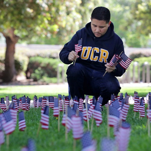 UCR engineering student, Fredy Dominguez, plants small American flags in the lawn as part of an annual Veterans Day observance.