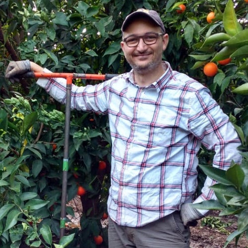 Professional researcher, Elia Scudiero, of CNAS, stands in a UCR citrus grove.
