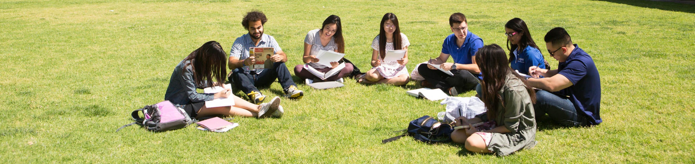 A group of diverse students sitting on a green lawn while studying on a sunnny day.