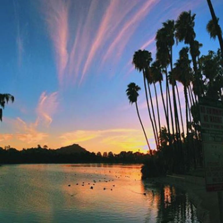 Sunset view of Fairmount Park in Riverside, Calif. with silhouetted palm trees in the foreground and mountains in the background.