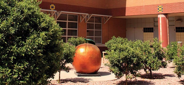 College of Humanities, Arts, and Social Sciences (CHASS)