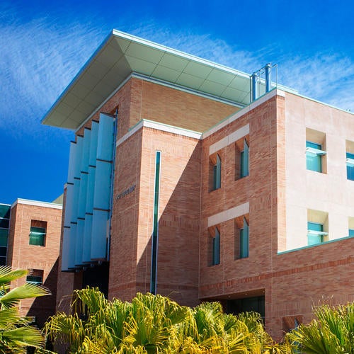 The Psychology building sits amid green plants and palms against a bright blue sky.