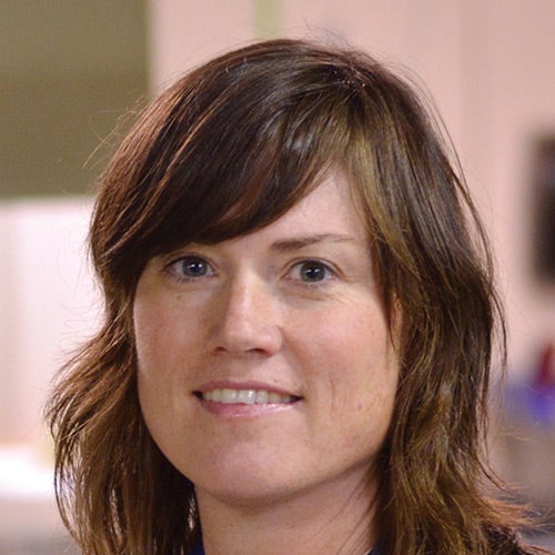 Faculty member Kelley Barsanti
