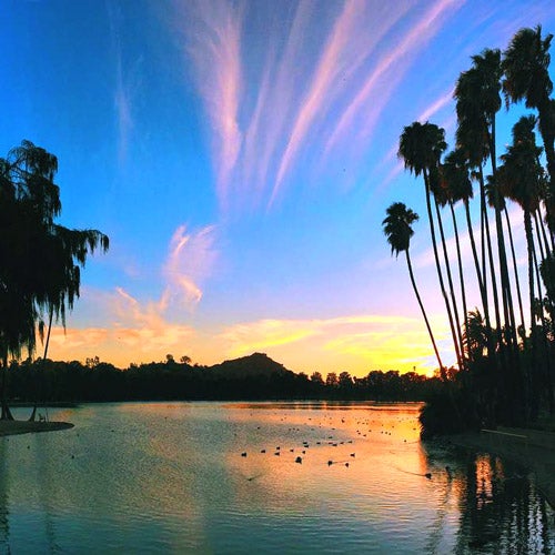 Colorful sunset atop a lake at Fairmount Park with silhouettes of palm trees.