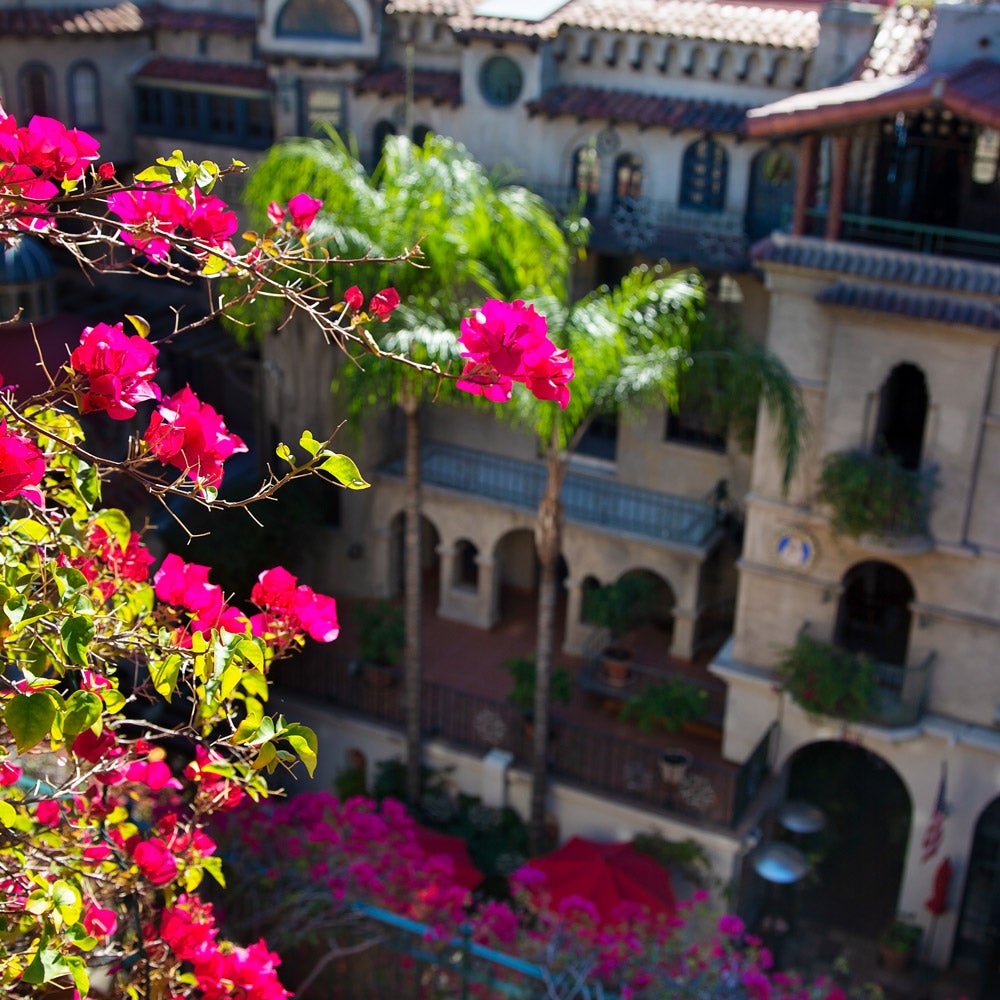 Bougainvillea flowers looking down at historic Downtown Riverside, California building. 