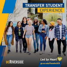 transfer undergraduate admissions